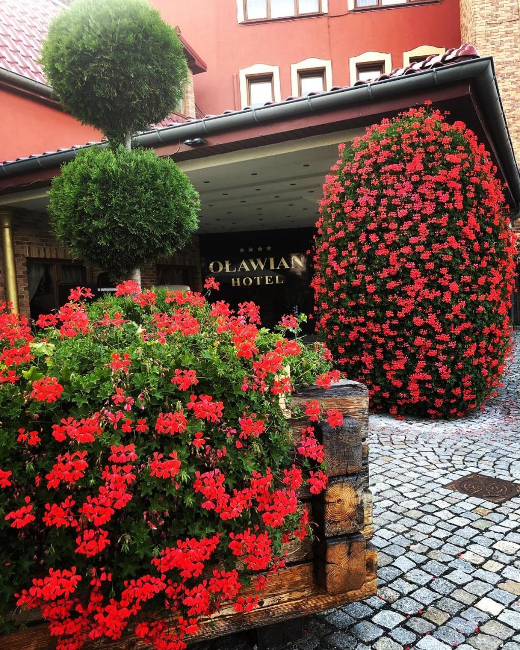 Olawian Hotel Oława Eksteriør billede